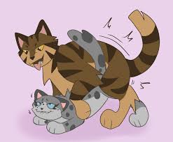 Warrior cat background