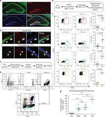21,291, and 214 people voted. A Novel Environment Evoked Transcriptional Signature Predicts Reactivity In Single Dentate Granule Neurons Nature Communications