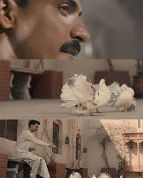 Abdullah Javed (@abdullahsheikh176) · Instagram photos and videos