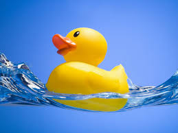 Unused, find many great new & used options and get the best deals for swimming pool. Danger A Mucky Rubber Ducky Is A Haven For Bacteria Says Study Health The Guardian