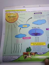 Ekosistem mempertahankan diri dengan siklus energi dan nutrisi yang diperoleh dari sumber eksternal. Tingkatan 2 Bab 2 Brain Genius Mastery Mathematic Facebook