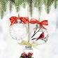 Paint Nite: Set of 3 Christmas Ornaments - Bird... event in East Windsor, NJ