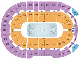 Buy Providence Bruins Tickets Front Row Seats
