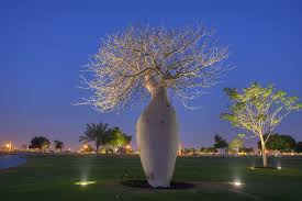 Illuminated Silk Floss Tree Chorisia Speciosa Ceiba Speciosa In Aspire Park Doha Qatar Ceiba Outdoor Gardens Tree