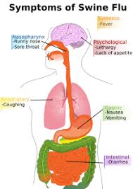 Swine Influenza Wikipedia