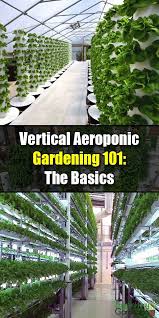 Pin On Vertical Gardening