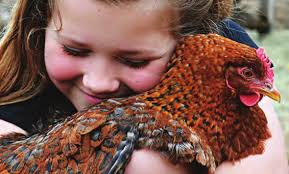 2022 Murray McMurray Hatchery Catalog