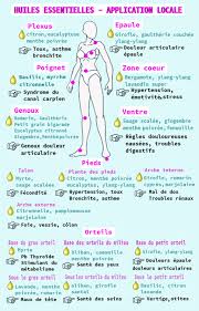 Epingle Sur Huiles Essentielles