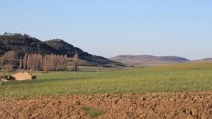We did not find results for: Que Hago Si El Vecino No Respeta La Linde Y Se Mete En Mi Tierra Como Se Puede Deslindar Y Delimitar Dos Fincas Rusticas Agronews Castilla Y Leon
