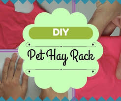 Finally the millions of noodle boxes we have laying around come in handy! D I Y Hay Rack For Rabbits And Guinea Pigs 4 Steps Instructables