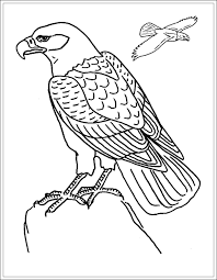 14 ausmalbilder pferde mandala ideen of ausmalbilder fã¼r. Ausmalbilder Zum Ausdrucken Ausmalbilder Adler