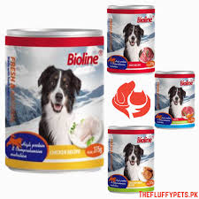 Buy Wet Dog Food Online in Pakistan at Best Price