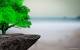 Ultra Hd Wallpaper Cb Background Hd