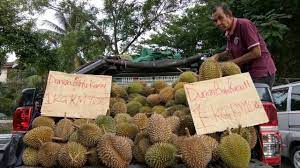 The area still retains its traditional village characteristics. Durian Batu Kurau Di Taman Bolton Sri Gombak By Kl Media Channel