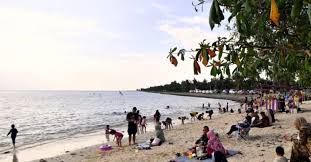Siakap Keli - News update
