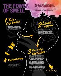 If you flip to the last three pages of the book there is a list of practical suggestion by the author to increase vagal tone and amping up the parasympathetic relaxing system. Power Of Smell Forever Essential Oils