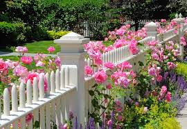 Romantischer Vorgarten Mit Rosen Und Lavendel Garten Von Gartner Blumenbeete Vorgarten Vorgarten Anlegen