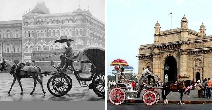 A Look at Mumbai's Iconic Horse Carriage Journey Till its End