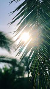 Desktophintergrunde Desktophintergrnde Atmosphere Atmosphere Beautiful Beautiful Wallpaper W Desktop Wallpaper Summer Summer Wallpaper Nature Wallpaper