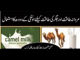 Surely, the health benefits of camel milk must justify the exorbitant price tag, right? Ootni Ka Doodh Kay Faiday Camel Milk Benefits In Urdu Youtube