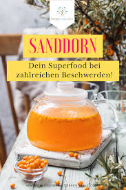 Sanddorn Eine Der Beeindruckendsten Pflanzen Fur Deine Gesundheit Sanddorn Sanddorn Rezepte Gesundheit