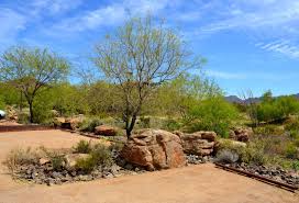 Ramblings From A Desert Garden Tour Of Southwestern Sustainable Landscapes Part 2 Sustainable Landscaping Desert Garden Landscape Design