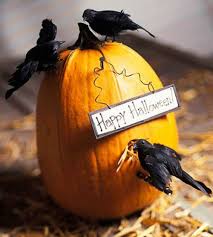 Flotte Halloween Dekoration Gelber Kurbis Mit Dekokrahen Kurbis Dekorieren Halloween Ideen Halloweendeko