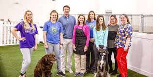 The pet place, named the best of the best of pet stores in the high country area for almost a decade, certainly lives up to the honor. Carolina Pet Place Luxury Pet Boarding Clemmons Nc