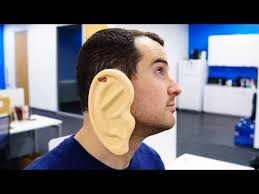 Dr. Becky Epperson DNP, ARNP, FNP-C