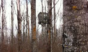 You can make a table top tree appear taller and bigger than it really is by making yourself a diy crate and using it as a tree stand. Big Game Tree Stand Blinds How To Create Tree Stand Concealment Big Game Treestands