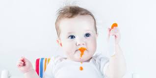 Apa Itu Baby Led Weaning
