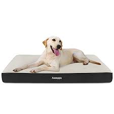 Brandine per cani di taglia grande con doghe / desideri acquistare un brandina per cani e sei confuso con tutti i prodotti in vendita?. Lettini Per Cani Consigli Per L Acquisto A Buon Prezzo E L Utilizzo