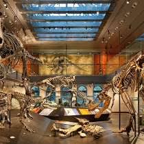 Working At Natural History Museum Of Los Angeles County Glassdoor