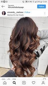 Pin By Muskan On Hair Colour Highlights Brown Hair Balayage Hair Inspo Color Light Hair Color