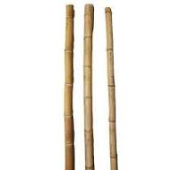 Empire Home 6ft Bamboo Poles, Natural Yellow Rust Resistant (3 Pack)