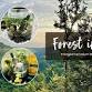 Forest in a Jar – Foraged Terrarium Workshop event image