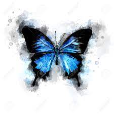 Sepia, payne's grey, phthalo blue, marine blue, viridian hue, cadmium yellow light, quinacridone gold, royal blue, olive green. Watercolor Blue Butterfly Illustration Stock Photo Picture And Royalty Free Image Image 86563372