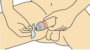Make sure your penis and ruler become parallel to each other. Make Your Penis Stronger And Harder In 4 Steps Make Her Crazy About Your Penis To Night Youtube