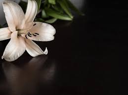 We did not find results for: Obituary Dawn O Brien Hill 67 Of Monroe Monroe Ct Patch