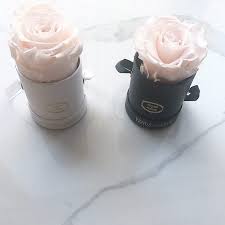 This massive design comes in a 36 by 12 box that holds 130 eternity roses. Facebook