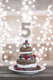 Hundekuchen Zum 5 Geburtstag Hunde Torte Hunde Kuchen Hundekuchen