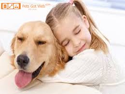 pin on petsgotweb بيتس جوت ويب