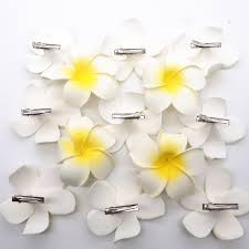 Check spelling or type a new query. 5 Pcs Lot Plumeria Hawaiian Pe Foam Frangipani Artificial Flower Headdress Flowers Egg Flowers Wedding Decoration Party Supplies Super Deal 5fb80 Goteborgsaventyrscenter