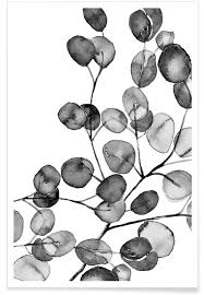We did not find results for: Black White Eucalyptus Watercolour Poster Juniqe
