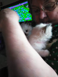 Ms. Lori Lee Rich's Memorial Website