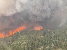 On behalf of the logan lake fire/rescue i would like to welcome you to our website. Water Bombers Sent To Protect Structures As Wildfire Moves Closer To Logan Lake Kamloops News Castanetkamloops Net