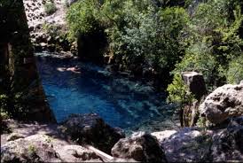 Experience the cool, clear water of the largest blue spring park and the surrounding area feature walks in the natural beauty of rural florida. Florida Memory View Overlooking Blue Springs At The State Park Orange City Florida