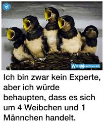 An einem ort, an dem jeder machen kann was er will, gelingt niemandem nur das geringste. Bilderlustigman Witze Witzige Bilder Zum Totlachen Kostenlos