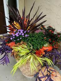 We did not find results for: 12 Fresh Fall Container Designs For Your Home And Garden
