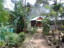 Charis janda baik villa 3: Pondok Makngah 130 Kg Chemperoh Eco Tourism Janda Baik Facebook